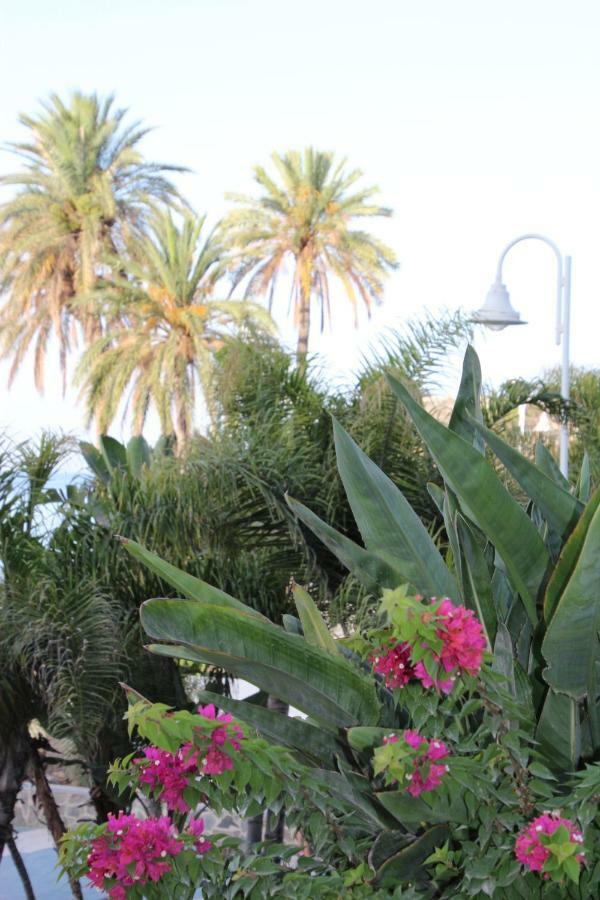 Bella Vida En Almuñécar المظهر الخارجي الصورة